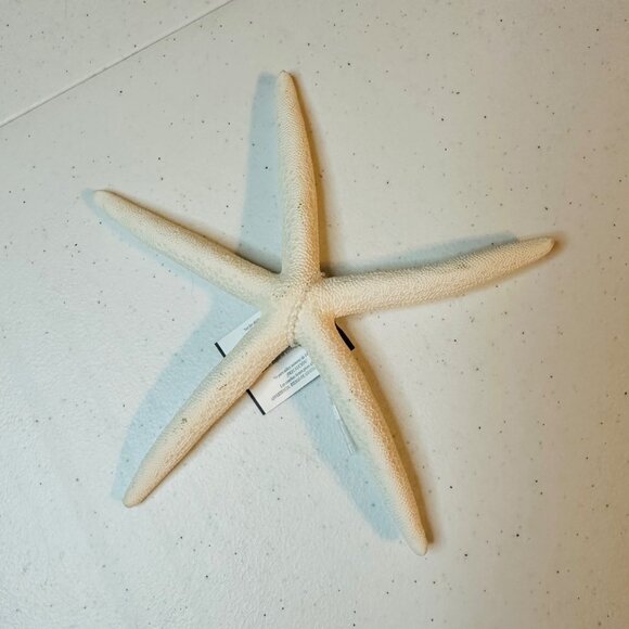 White Starfish Shell Beach Decoration Coastal Beach Home Decor & Crafts - Picture 1 of 7